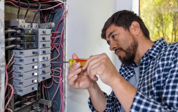 Best Electrician Near Me  in Bolindale, OH